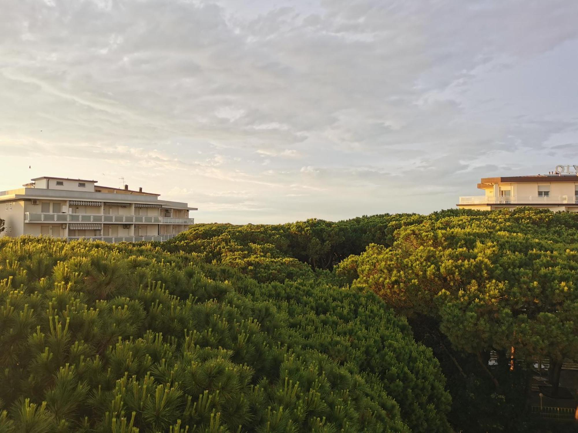 Hotel Pine Beach Rosolina Mare Bagian luar foto